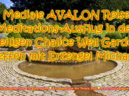 Webinar: Geführte AVALON Meditation im heiligen Chalice Well Garten