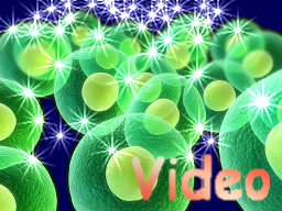 Webinar: Verjüngung deiner Zellen mit Lumina - Intensivwebinar - Video