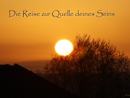 Webinar: Reise zur Quelle deines Seins