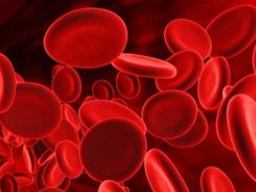 Webinar: Astromedizin 1.1 Blut und Lymphystem; Anämie und Leukämie