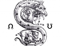 Webinar: Der aufsteigende und der absteigende Mondknoten in der Astrologie: Drachenkopf und Drachenschwanz