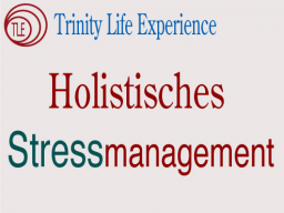 Webinar: Holistisches Stressmanagement
