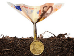 Webinar: DER GELD CODE