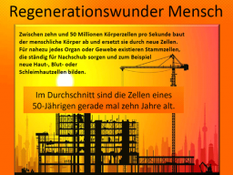 Webinar: Wunderwerk Mensch