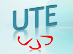 Webinar: Lebensberatung mit der U.T.E. Einzelcoaching