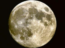 Webinar: Neumond Ritual April 2012