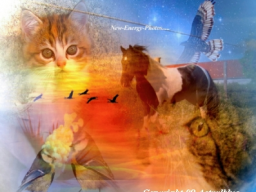 Webinar: KRAFTTIERE-IHRE SPIRITUELLE BEGLEITER