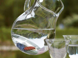 Webinar: (HEIL) STEINE In meinem Trinkwasser