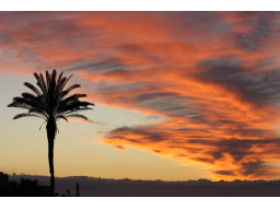 Webinar: Neumond Meditation - Skorpion