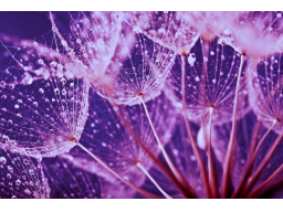 Webinar: Dein Weg zum Heilmedium ABGESAGT!!