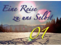 Webinar: 01-01 Die Juwelen des Senkrechten Atems