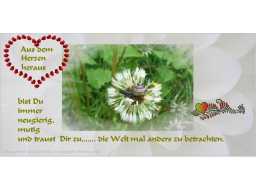 Webinar: Du bist Schöpferin / Schöpfer Deines Lebens