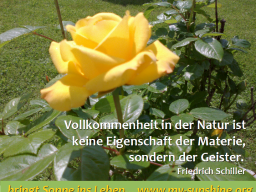 Webinar: Atem-Meditation "Das Wunder des Bewussten Atmens"