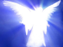 Webinar: Wie nimmt man Kontakt zu Engeln auf?