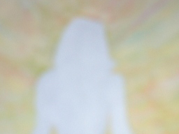 Webinar: Karma Reinigung - Stille Meditation