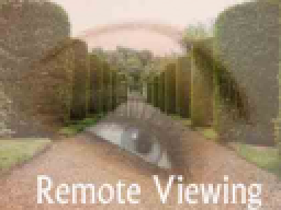 Webinar: Remote Viewing  Realität oder Phantasie?