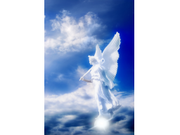 Webinar: Die Zeichen der Engel erkennen