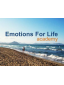 Emotions For Life - Swantje Grauch
