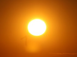 Webinar: Sonne + Erde