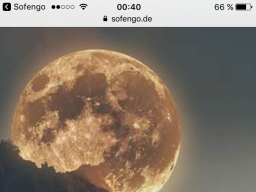 Webinar: Medialer Basiskurs I und II