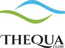 Webinar: TheQua-Flow - die neue einfache Form der Befreiung von deinen Themen und Mustern