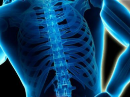 Webinar: Rückenprobleme - Rückenschmerzen Heil-Meditation