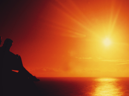 Webinar: Lebe...