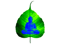 Webinar: Buddhismus erklärt: Die Vier Edlen Wahrheiten