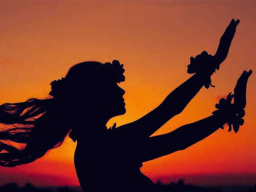 Webinar: Chakren-Gruppenmeditationsreise HAWAI'I-NOVEMBER-AKTION 60min