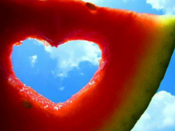 Webinar: 5 Schritte zum richtigen Partner