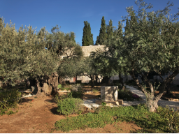 Webinar: TRANSFORMATION DES VERLUSTES DEINER FREIEN WILLENSKRAFT - MIT ZEITREISE IN DEN GARTEN GETHSEMANE