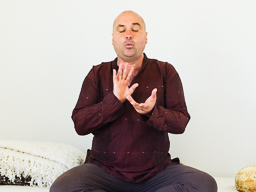Webinar: Der innere Saboteur | 20 €
