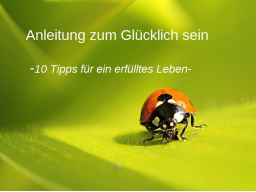 Webinar: Anleitung zum Glücklich sein- 10 Tipps für ein erfülltes Leben!