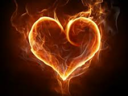 Webinar: Coaching/Ausbildung: Höheres Seelenfeuer (bedingungslose Liebe) - Ferneinweihung!