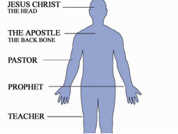 Webinar: JESUS UND SEINE 5 MANDATE FÜR DIE NEUE ERDE - SPIRITUELLE EINFÜHRUNG IN DEINE VERANTWORTUNG