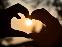 Webinar: Field of Love Meditation