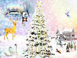 Webinar: <> Gesegnete Weihnacht <> ENERGIEGESCHENK