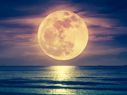 Webinar: Vollmond-Meditation (D + EN)
