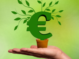 Webinar: Erkenne und löse deine Geldblockaden