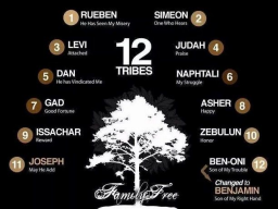 Webinar: DIE EINWEIHUNGS-SEGEN FÜR DIE 12 SPIRITUELLEN CLANS