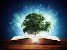 Webinar: DEIN SPIRITUELLES HANDBUCH DER ELOHIM-CODES - DAS BUCH DES WISSENS