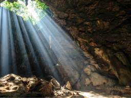 Coaching/Ausbildung: Wundermanifestation Ermächtigung (Positive Erfüllung) - FERNEINWEIHUNG!