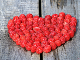 Webinar: Field of Love Meditation
