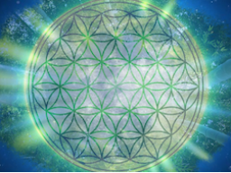 Webinar: Vollmond Special - Wenn Du im Flow bist ist alles möglich