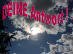 Webinar: Endlich auf ALLES eine Antwort haben - 9 Lösungen