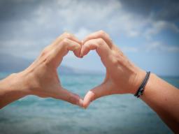 Webinar: Field of Love Meditation