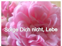 Webinar: Von Wünschen zum Ziel