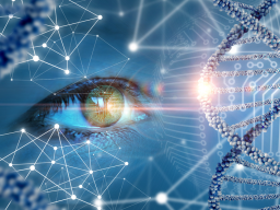 Webinar: NEW//LÖSCHUNG TRAUMATISCHER ZELLULÄRER GEDÄCHTNIS-SPEICHER FÜR DEIN 3. JAHRTAUSEND