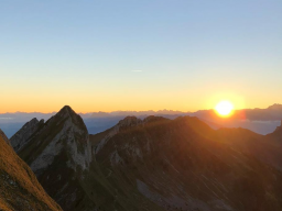 Webinar: Live-Channeling mit Jesus: Vertrauen ersetzt Angst
