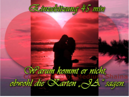 Webinar: Seelenpartner-"Warum kommt er nicht, obwohl die Karten "JA" sagen":Einzelsitzung!